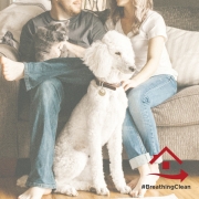 pet danders impact on indoor air quality